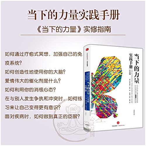 埃克哈特托利作品当下的力量全3册 当下的力量 当下的力量实践手册 新世界灵性的觉醒 正版书籍 心灵鸡汤      Paperback – July 1, 2013