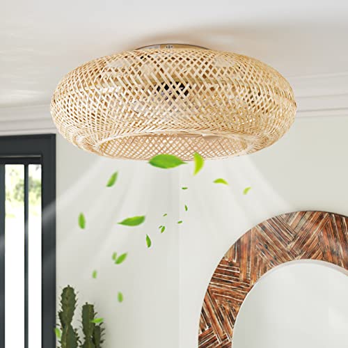 luansky Rattan Ceiling Fan with Light Flush Mount, 20 Inch Enclosed Boho Ceiling Fans with Lights and Remote Control, Coastal Caged with 6 Speeds for Bedroom Living Room Kitchen, E26 Base, Indoor-Gold