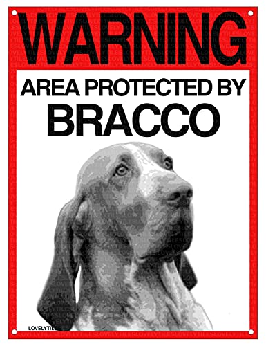Lovelytiles Bracco Targa ATTENTI al Cane Cartello