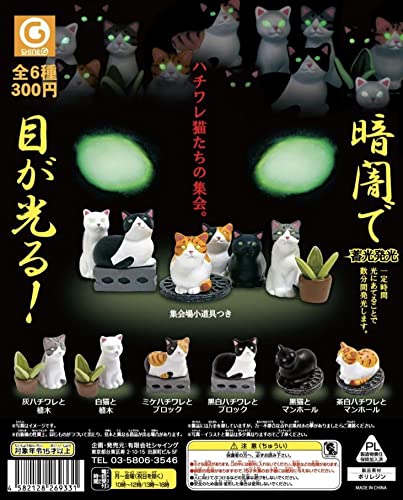 Amazon.co.jp: ミニチュアフィギュア ハチワレ猫たちの集会 蓄光発光