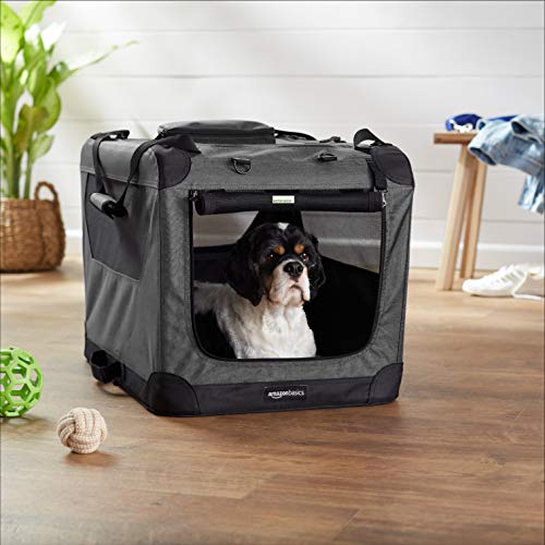 amazon basic dog crate