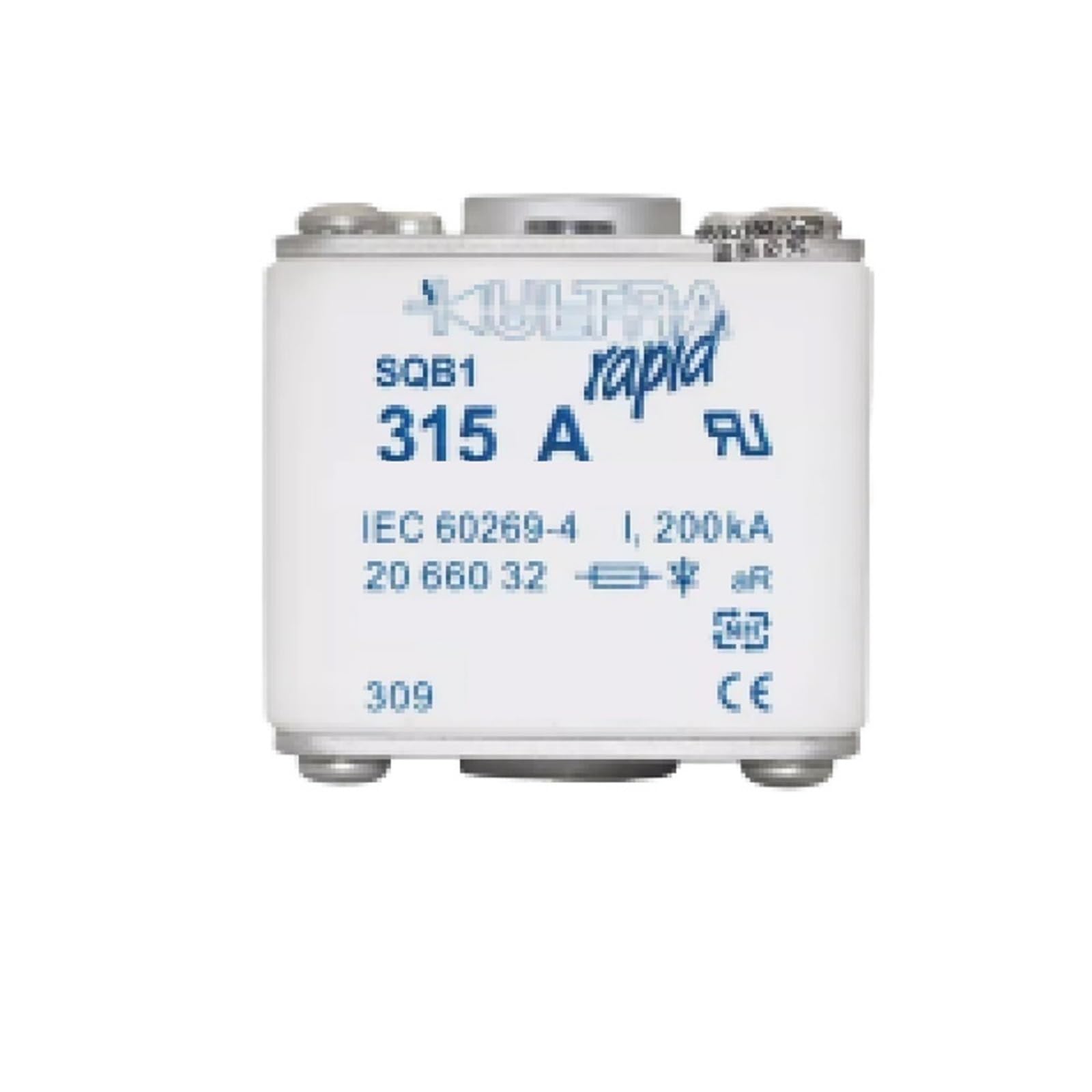 MUYTQAERG SQB1 125A 690 700V 2066132 100A 150A 200A 250A 315A 350A 550A 630A 700A Fuses(SQB1 315A)