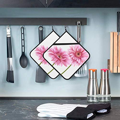 Gerbera Flower Isolated On White Oven Pot Holders Heat Resistant Pot Holders With Pockets 2 Pcs Kitchen Towels And Pot Holder Sets 8×8 Inch For Cooking And Baking #TOP5