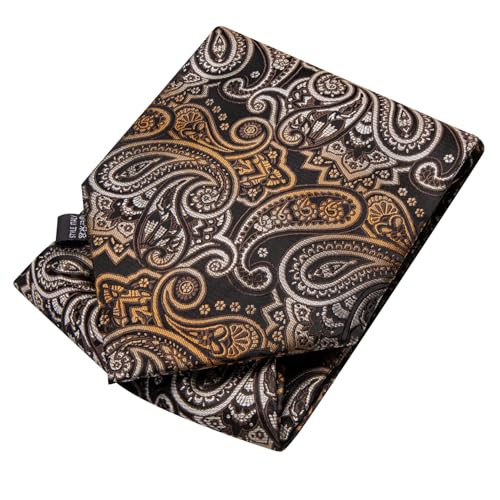 Image of Dubulle Paisley Floral Ascot for Men Self Tie Mens Cravat and Pocket Square Cufflinks Wedding