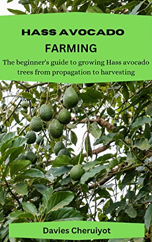 Amazon.com: HASS AVOCADO FARMING: The beginner's guide to growing Hass ...