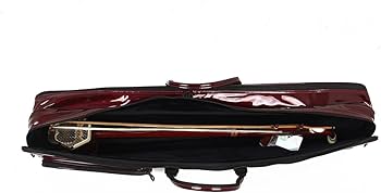 二胡　ケース付き Amazon.co.jp: MUYIYANG 二胡用ソフトケース 二胡ケース 多色エナメル