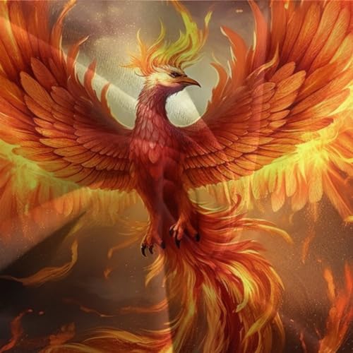 Housse de couette 220x240 hôtelière Phoenix avec taies élégantes - 7