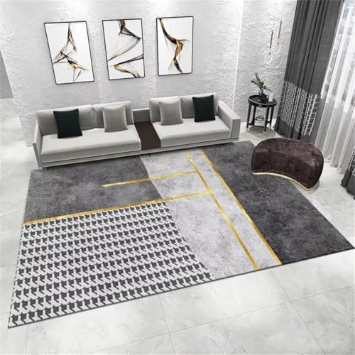 Tapis de maison confortable pour grand salon chaleureux