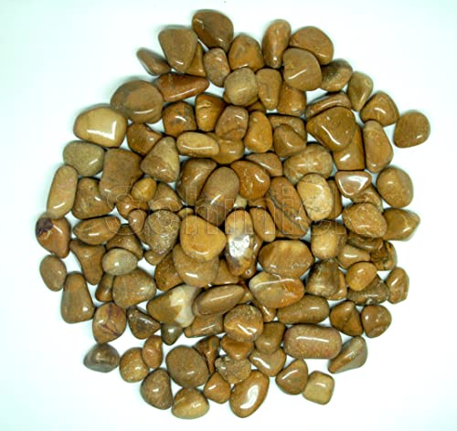 Image of Pebbles for Decoration - Pebbles for Plants Pots - Decorative Stones and Pebbles (1.9 Kgs, Brown Pebbles)
