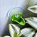 Dart Frog Leaf Pod - Bromeliad Leaf Hide
