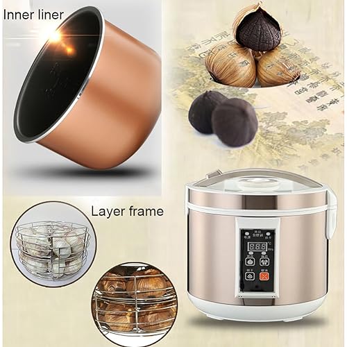 Fermenteur d'ail pour réussir facilement l'ail noir et le kimchi maison 5L - 5