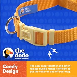 The Dodo All Nylon Yellow Collar and Leash Set – Medium; Matching Cute Leash and Collar Set; Waterproof Dog Leash and Collar Set, Perfect for Beach Day or Trips to The Lake