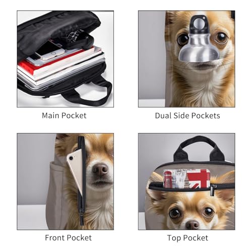 Backpack 14.7 inch Lightweight Large Bookbag Cute chihuahua Daypack for Travel Office Work3