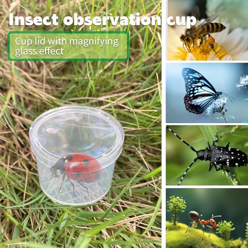 20 Pieces Insect Magnifying Glass Box, Portable Transparent Insect Observatory, Insect Container for Science/Nature Exploration and Insect Collection 3