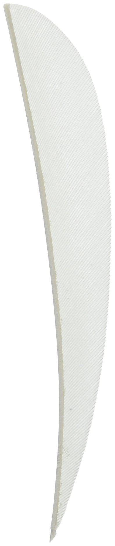 TRUEFLIGHT Feathers PARABOLIC Solid Color 4 LW White 100/PK.