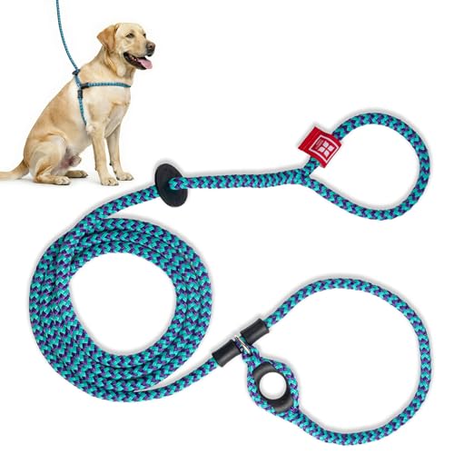 Image of Harness Lead No Pull Dog Harness and Leash Set, Anti Pull Dog Harness, One-Piece Cushioned Rope Safely Prevents Escaping and Pulling (Medium /Large, Purple /Turquoise)