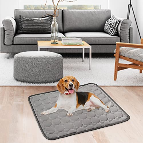 Kühlmatte für Hunde, Haustier-Kühlmatten, Sommer-Eiskissen, leicht, atmungsaktiv und faltbar, für Kiste, Zwinger, Katzenbett, Sofa, kaufeste wiederverwendbare Hundematten (1 Packung)