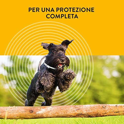 Collier Scalibor 48 cm antiparasitaire pour chien