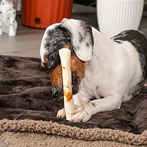Pet Manufacturing Unit Twistedz American Beefhide 5 Chip Rolls Canine Chew Treats W Actual Beef Meat Wrap  8 Depend1 Pack  Cucciolini Doodles Pet manufacturing unit twistedz american beefhide 5 chip rolls canine chew treats w actual beef meat wrap  8 depend1 pack   cucciolini doodles