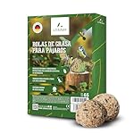 LERAVA Bolas de Grasa para pájaros (65 Piezas) - C...: VARIEDAD ATRACTIVA - Estas bolas de grasa atraen diversas aves silvestres gracias a una mezcla nutritiva equilibrada que aporta energía constante y favorece la biodiversidad en el jardín del entorno. CONSISTENCIA PERFECTA - La mezcla de grasa de cali...