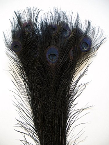 10 Pcs Peacock Bleached Feathers (30''- 35