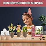 Zoom IMG-2 nopalia kit piante carnivore premium Zoom IMG-2 nopalia kit piante carnivore premium