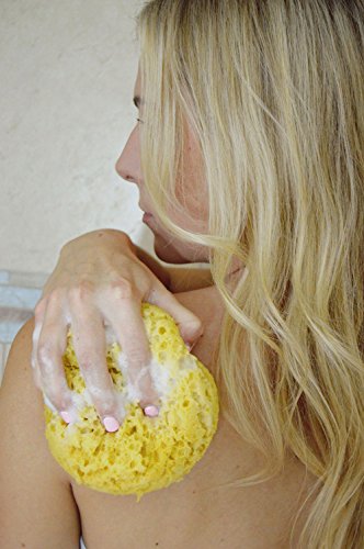 Evriholder 672-2 Foam Body Sponge For Exfoliating Large Scrubber thumb #5