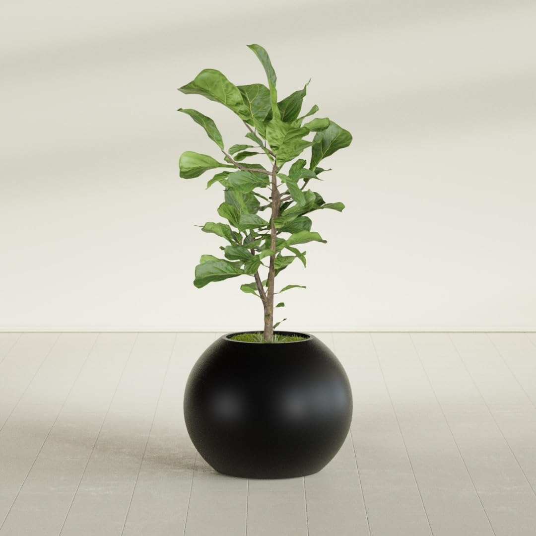 Amazon.com : Greenline Fiberglass Nala Globe Indoor/Outdoor Large  Lightweight Planter - 24" x 24" x 19" (Matte Black) : Patio, Lawn & Garden