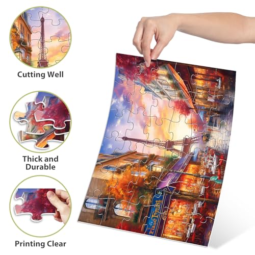 Biarek 6 Pack 36 Large Piece Puzzles for Seniors Puzzle Dementia Alzheimer's Products Activities for Elderly Adults Easy Jigsaw Puzzle Alzheimer's Gift for Patients in Nursing Home with 6 Storage Bags - Image 7