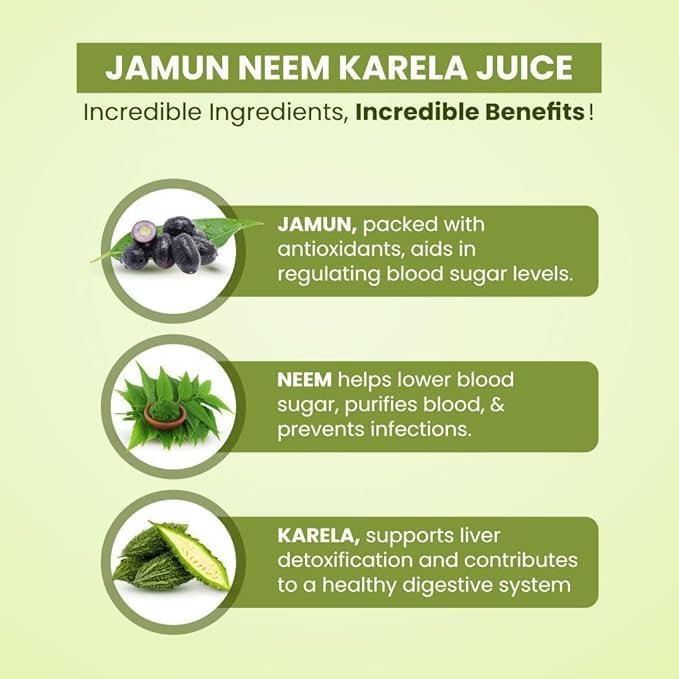 Image of Neem Karela Jamun Juice Traditional Herbal Mix | Natural Ayurvedic Health Tonic for Blood Sugar Management, Digestion & Immunity Support | Herbal Detox Juice for Healthy Lifestyle | 1000 ml (1 Litre)