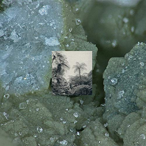 Alienation Effects [Vinyl LP]