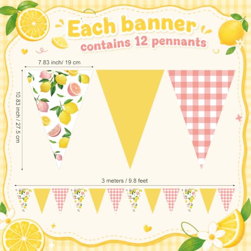 Image of Faccito 5 Pcs Lemon Pink Gingham Pennant Banners Summer Wedding Decor