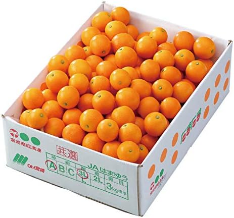 Amazon きんかん たまたま 完熟きんかん 風のいたずら 訳あり 3l Lサイズ 3kg 宮崎県産 キンカン 金柑 はちやフルーツ みかん 柑橘類 通販