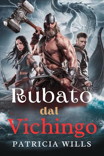 Rubato dal vichingo: Un romanzo oscuro sui guerrieri norreni