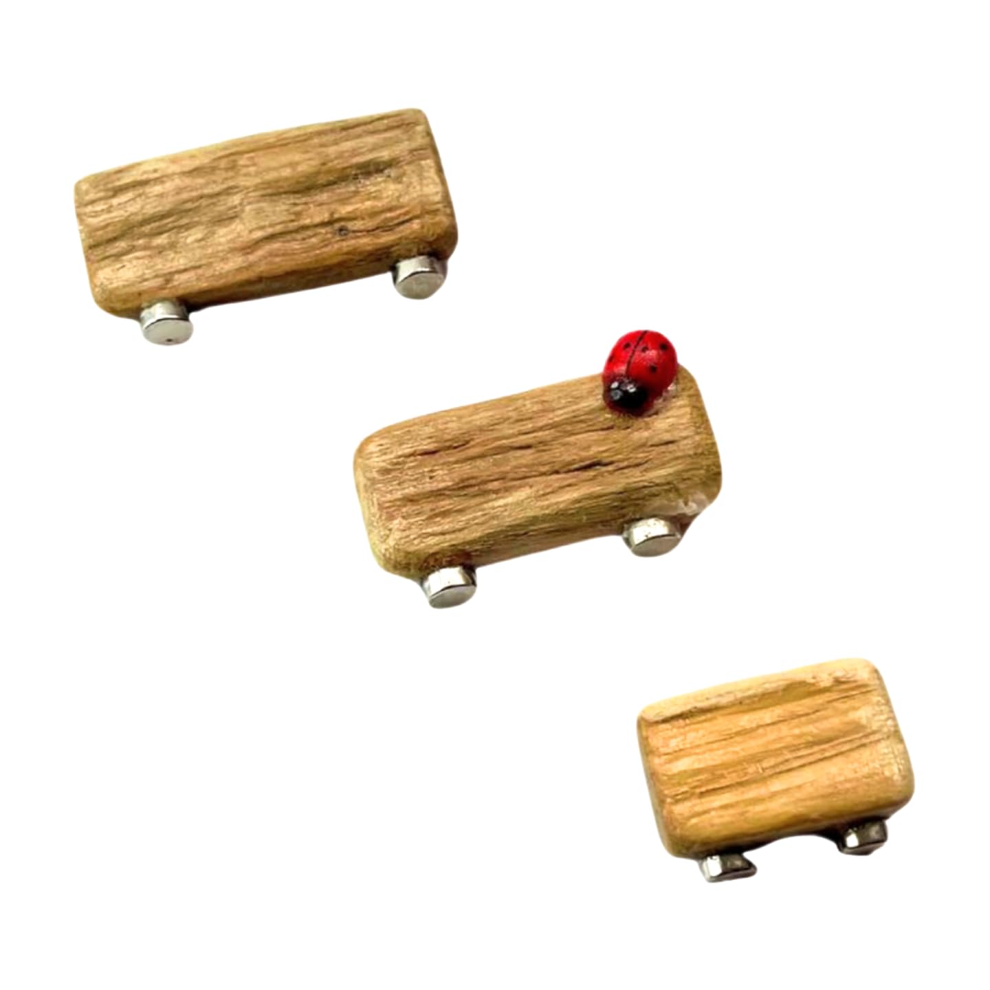 Opus Vita Triple Driftwood Ledge Pack with Mini Decor - Jumping Spider Enclosure Decor - Spider Enclosure Decor - Professionally made to cleverly attach to your Insect Enclosure Ladybird
