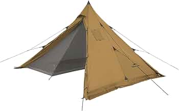 51mGTQ4tAWL._AC_UF350,