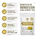 Organic Dandelion Leaf & Root Tea - Natural Dried Dandelion Herbal Tea for Liver Support, Antioxidant, Digestion and Immune Support, Caffeine Free - 30 Tea Bags