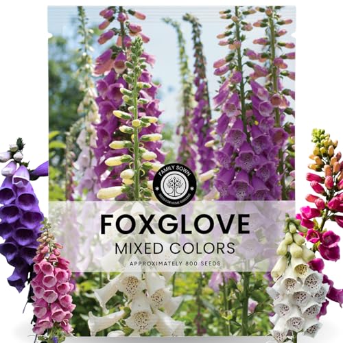 Foxglove Mixed Colors 800 Seeds for Planting 2026 Season 5 Gram Pouch