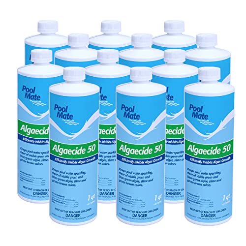 Top 10 Best Algaecide 60 For Pool Reviews & Buying Guide Katynel
