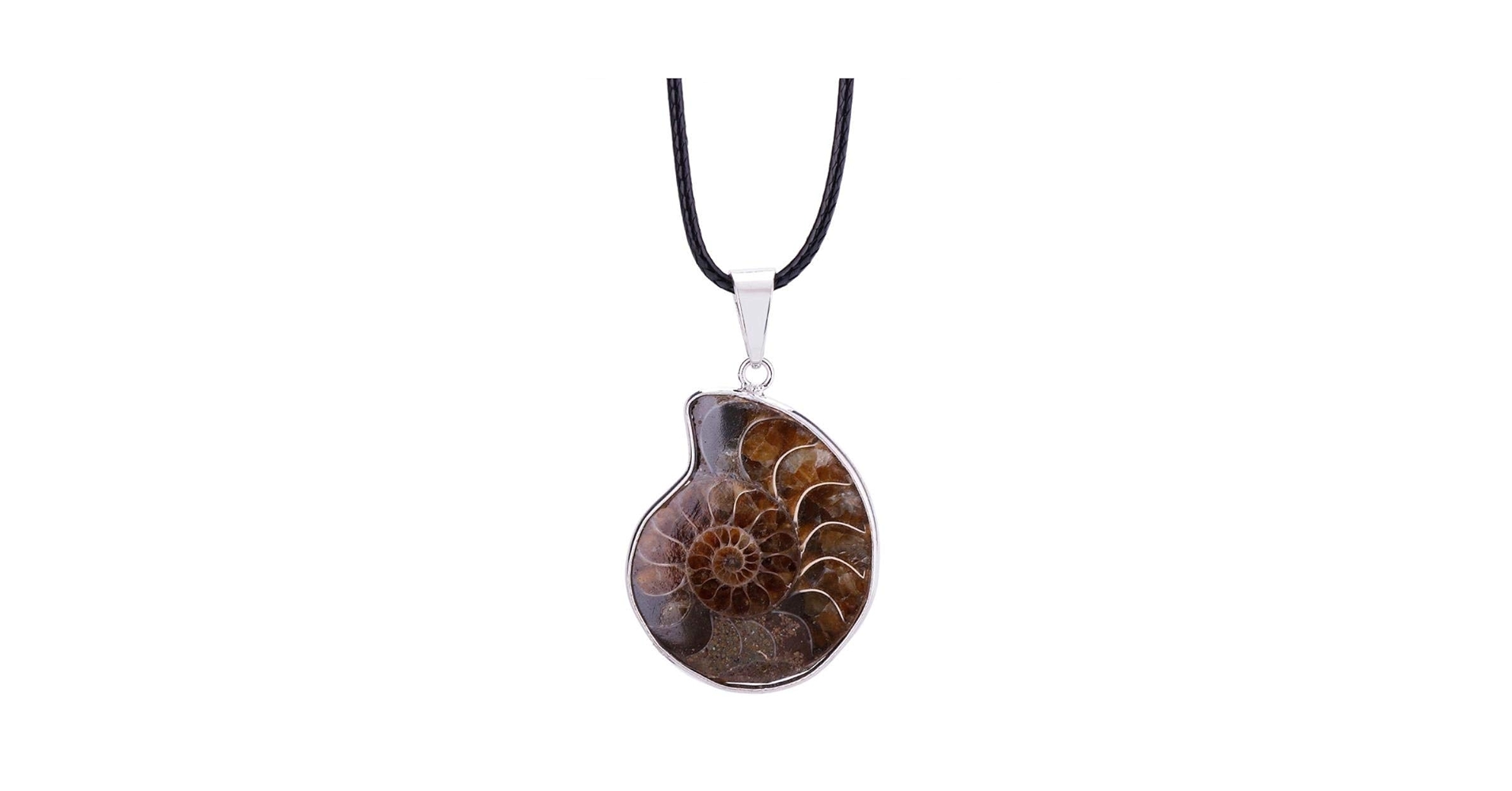 アンモナイト 約30cm アンモナイト 化石【7】ルース・カボション（27.5×20mm）