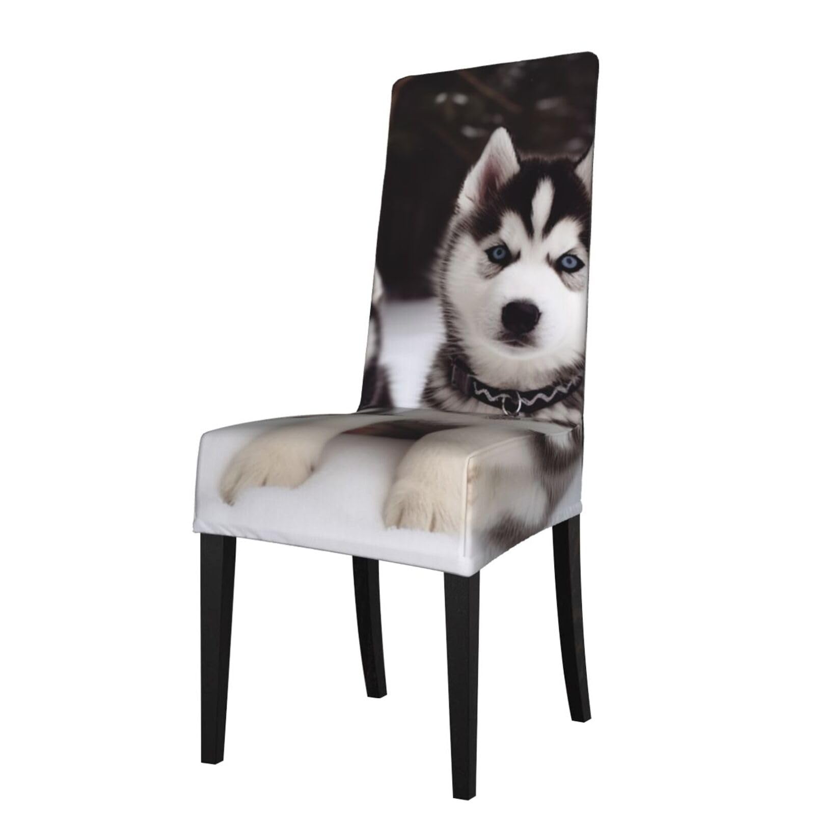 FodPand Stretch Chair Covers for Dining Room, Adorable Huskies Chair Seat Covers Washable Detachable Chair Slipcover Chair Protectors Covers for Kitchen,Wedding,Party
