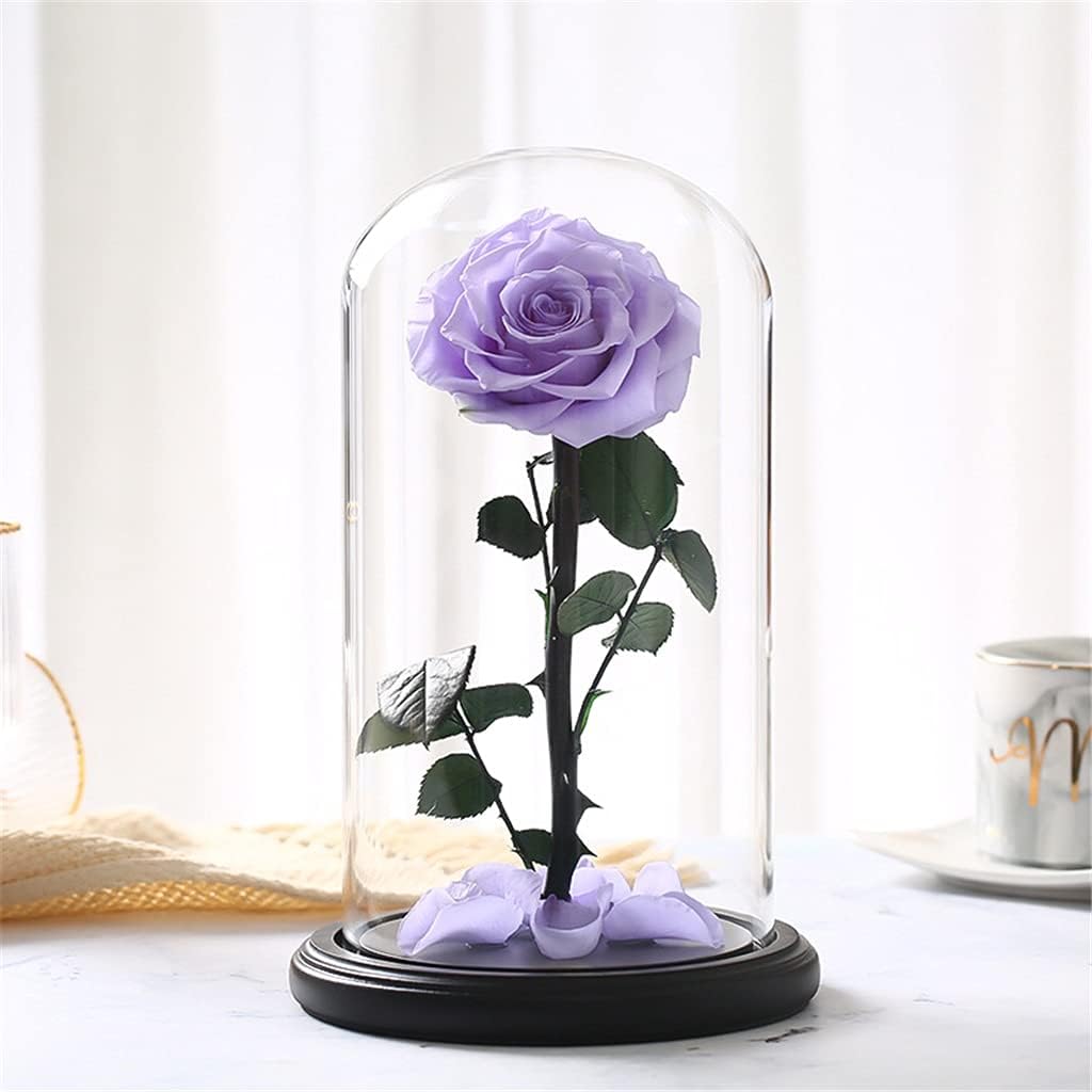 Rose in Glass Cover Eterl Rose Glass Preserved Fresh Rose Glass Valentine's Day Romantic Rose Glass Immortal Rose (Color : Purple)