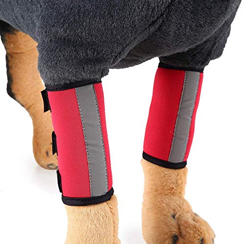 Image of 1 Pair Reflective Tape Elbow Protectors, Dog Front Leg Braces Pet Knee Pads Dog Elbow Protector Help with Injuries Sprains and Loss of Stability Caused by Arthritis(L, Red)