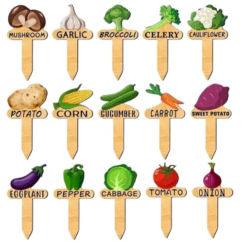 Etichette Per Piante - 15 Marcatori per Piante da Esterno,Forniture in Legno per Identificazione e Organizzazione Ortaggi da Serra Interno ed Esterno