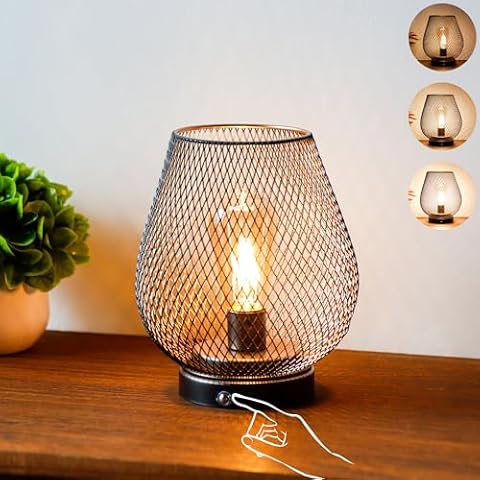 JHY DESIGN Dimmable Touch Bedside Table Lamp Rechargeable Battery Powered Lamp with LED Bulb Cordless Accent Lamp for Weddings Parties Patio Events for Indoors Outdoors(Metal Base, Bronze Egg) Cover