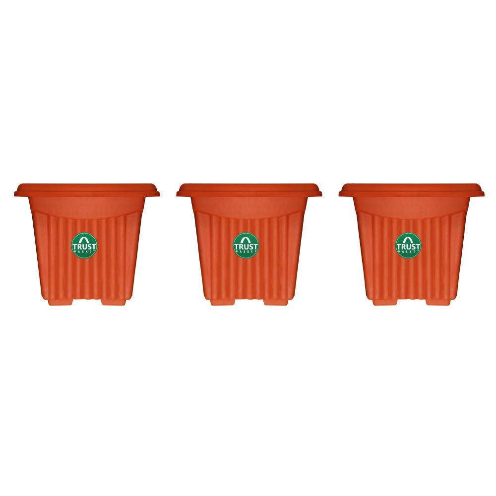 TrustBasket UV Treated Square Plastic Planter (12 inches) - Terracotta Color - Set of 3 | Heavy Duty Highly Durable Plant Container Gamla for Indoor Home Decor & Outdoor Balcony Garden-image-23