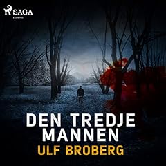Den tredje mannen Audiolibro Por Ulf Broberg arte de portada