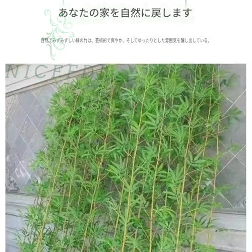 [Nicffdi] 人工造花笹・模擬竹 10 本入り 七夕たなばた飾り用造り笹 緑葉付きシミュレーション竹 竹垣・ガーデンフェンス・目隠しパーティション 台座別売 七夕飾り・庭園装飾・仕切り用観葉造花 (1.5m,グリーン（10本入り））) [3]