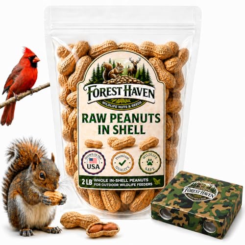 Forest Haven Raw Peanuts for Squirrels – 2LB Bulk Squirrel