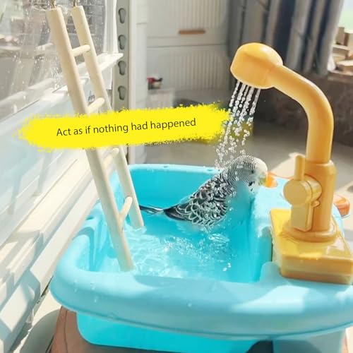 Baignoire à oiseaux automatique en ABS pour grands perroquets